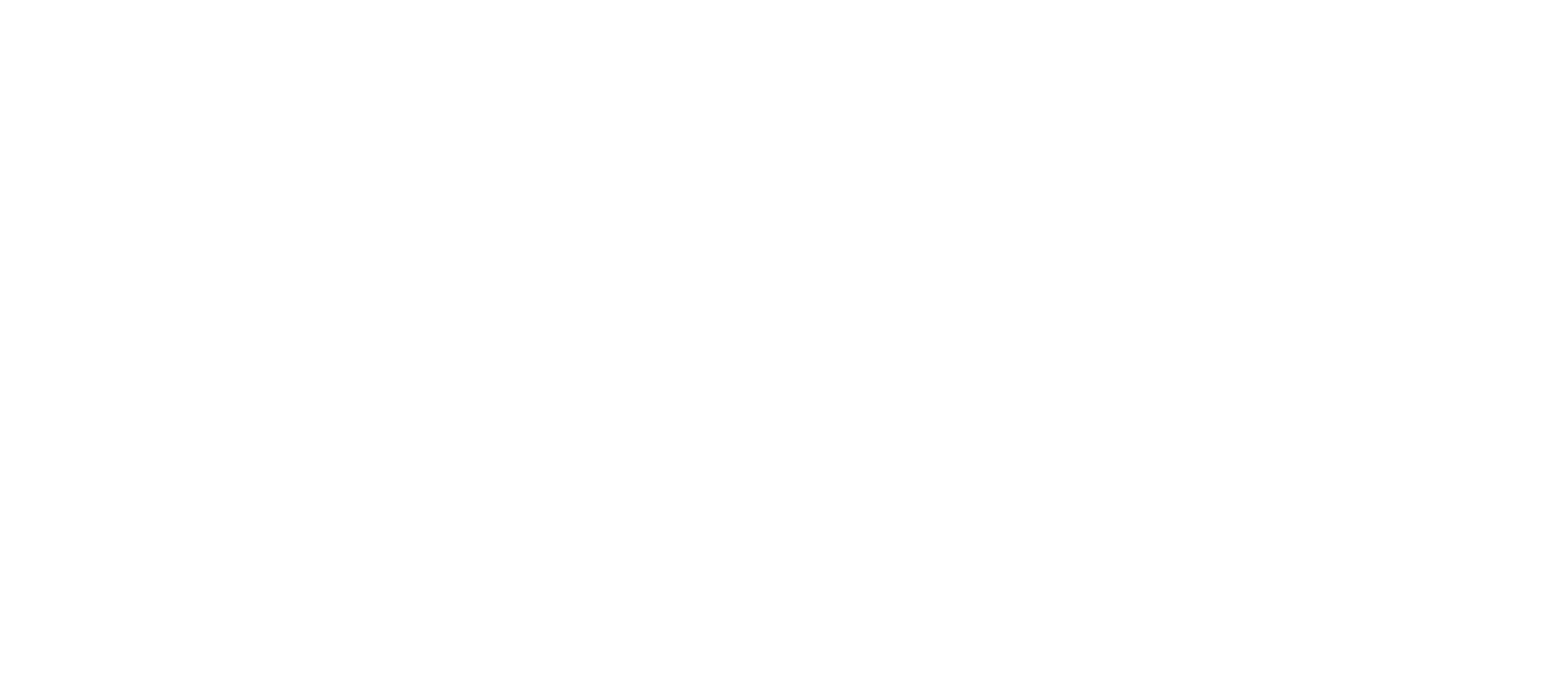 NSS - National Services and Supplies